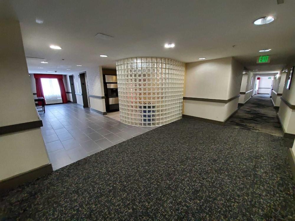 Sleep & Bwi Airport Hotel 3*